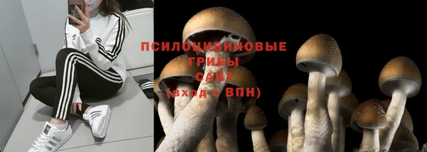 экстази Лиски
