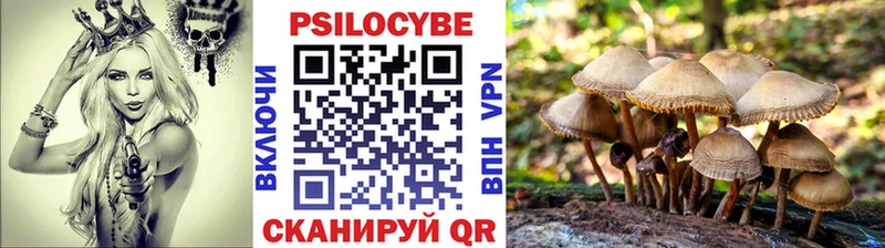 Псилоцибиновые грибы прущие грибы  Невельск 